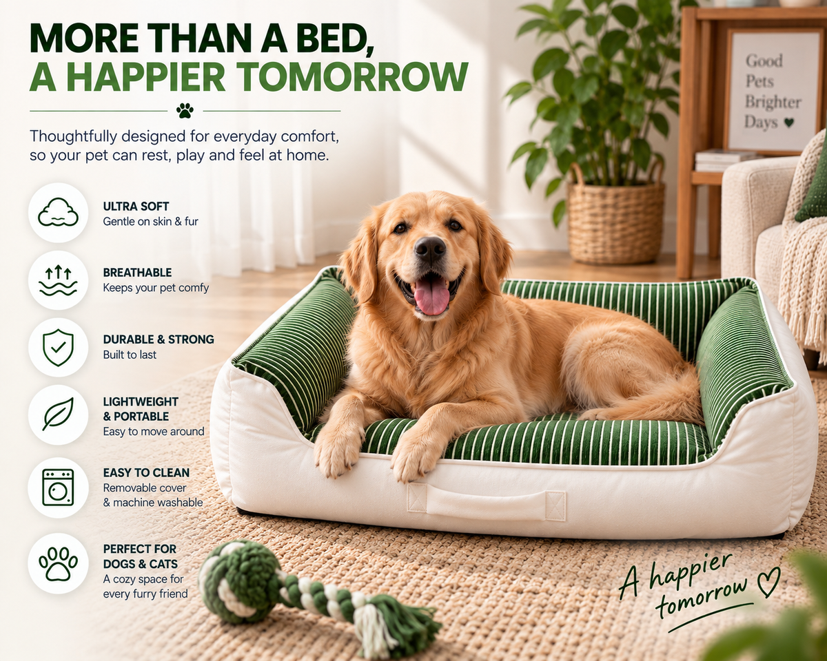 NOOMi Premium Velvet Pet Bed for Dogs & Cats – Soft, Cozy, Washable & Anti-Skid